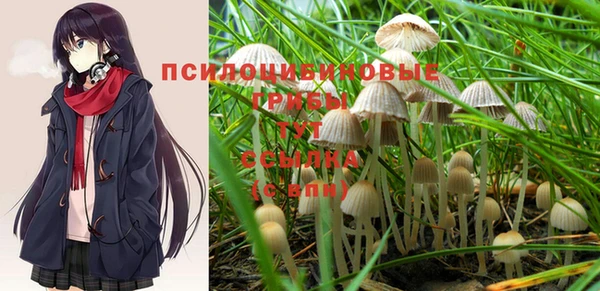 не бодяженный Армянск