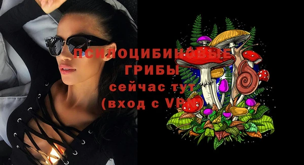 ECSTASY Алексеевка